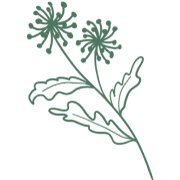 Özenle Seçilmiş İçerikler